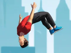 Žaidimas Flip Master internete