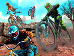 Žaidimas Bike Stunt BMX Simulator internete