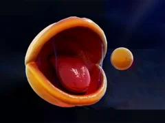 Žaidimas Pac-Man internete