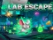 Žaidimas Lab Escape internete