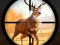 Žaidimas Wild Hunting Clash internete