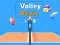 Žaidimas Volley Bean internete