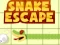 Žaidimas Snake escape internete