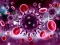 Žaidimas Coronavirus Puzzle internete