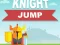 Žaidimas Knight Jump internete