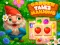 Žaidimas Garden Tales Mahjong internete