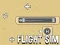 Žaidimas Flight Sim internete
