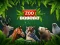 Žaidimas ZOO Trivia internete
