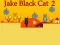 Žaidimas Jake Black Cat 2 internete