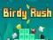 Žaidimas Birdy Rush internete