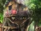 Žaidimas Hidden Treehouse internete