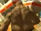 Žaidimas Monster Simulator internete