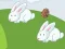 Žaidimas Crazy Eggs internete