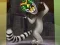 Žaidimas King Julien: Trommel-Tanz internete