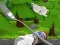 Žaidimas Monte's Zott: Flight on a spoon internete