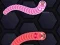 Žaidimas Angry Worms internete