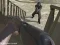 Žaidimas Western:Invasion internete