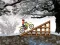 Žaidimas Ice Biker internete