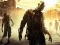 Žaidimas Stupid Zombies Hunt internete