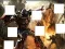 Žaidimas Transformers 3 image puzzles internete