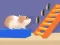 Žaidimas Hamster Stack Maze internete