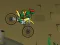 Žaidimas Ninja Turtle Bike internete