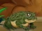Žaidimas Frogs Matching internete