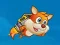 Žaidimas Super Squirrel internete