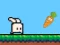 Žaidimas Bouncing Bunny internete