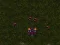 Žaidimas Starcraft 3 internete