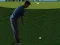 Žaidimas Flash Golf 3D internete