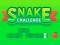 Žaidimas Snake Challenge internete