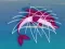 Žaidimas Dolphin Rescue internete