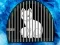 Žaidimas Snow Fox Escape internete