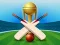 Žaidimas Cricket Champions Cup internete
