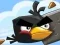 Žaidimas Crazy Birds internete