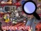 Žaidimas Hidden Spots In The Room internete