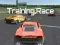 Žaidimas Training Race internete