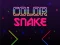 Žaidimas Color Snake internete