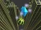 Žaidimas Marble Rolling Stunt internete