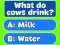 Žaidimas Trivia Best Family Quiz internete