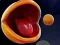 Žaidimas Pac-Man 3d internete