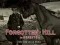 Žaidimas Forgotten Hill Memento: Run Run little Horse internete