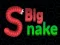 Žaidimas Big Snake.io internete