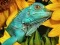 Žaidimas Ultimate Puzzles Animals 6 internete