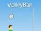 Žaidimas VolleyBall internete