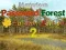 Žaidimas Mysterious Password Forest Autumn Edition 2 internete
