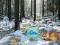 Žaidimas Winter Wonderland Forest Adventure internete