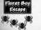 Žaidimas Floret Boy Escape internete