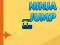 Žaidimas Ninja Jump internete